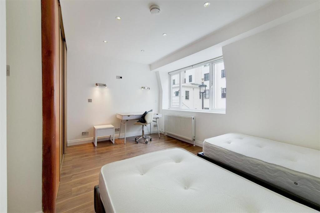 Stanhope Terrace London