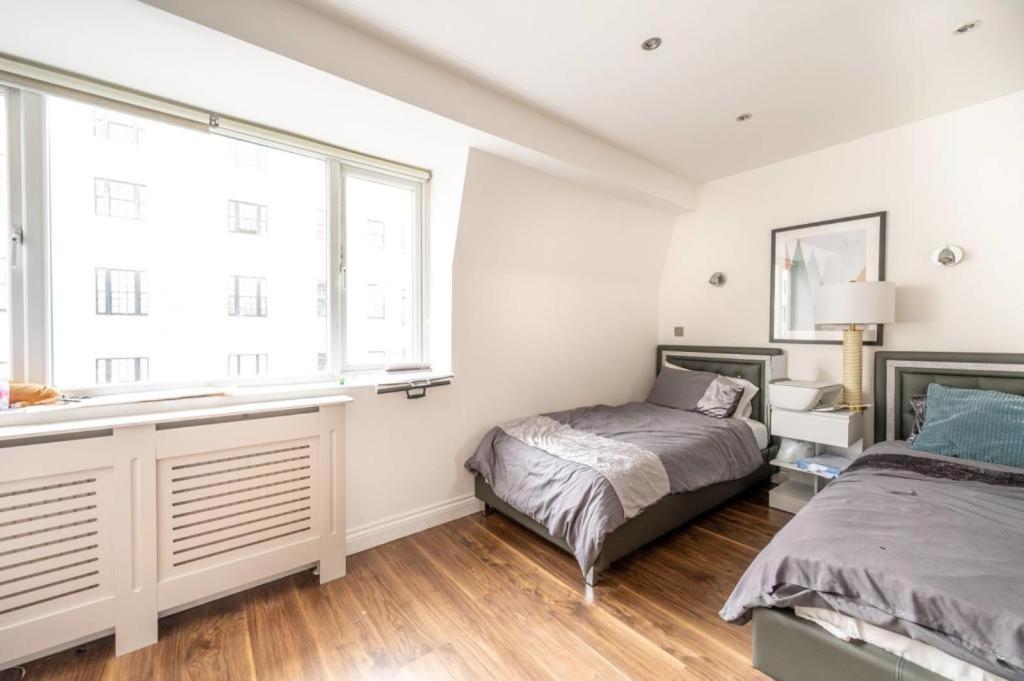 Stanhope Terrace